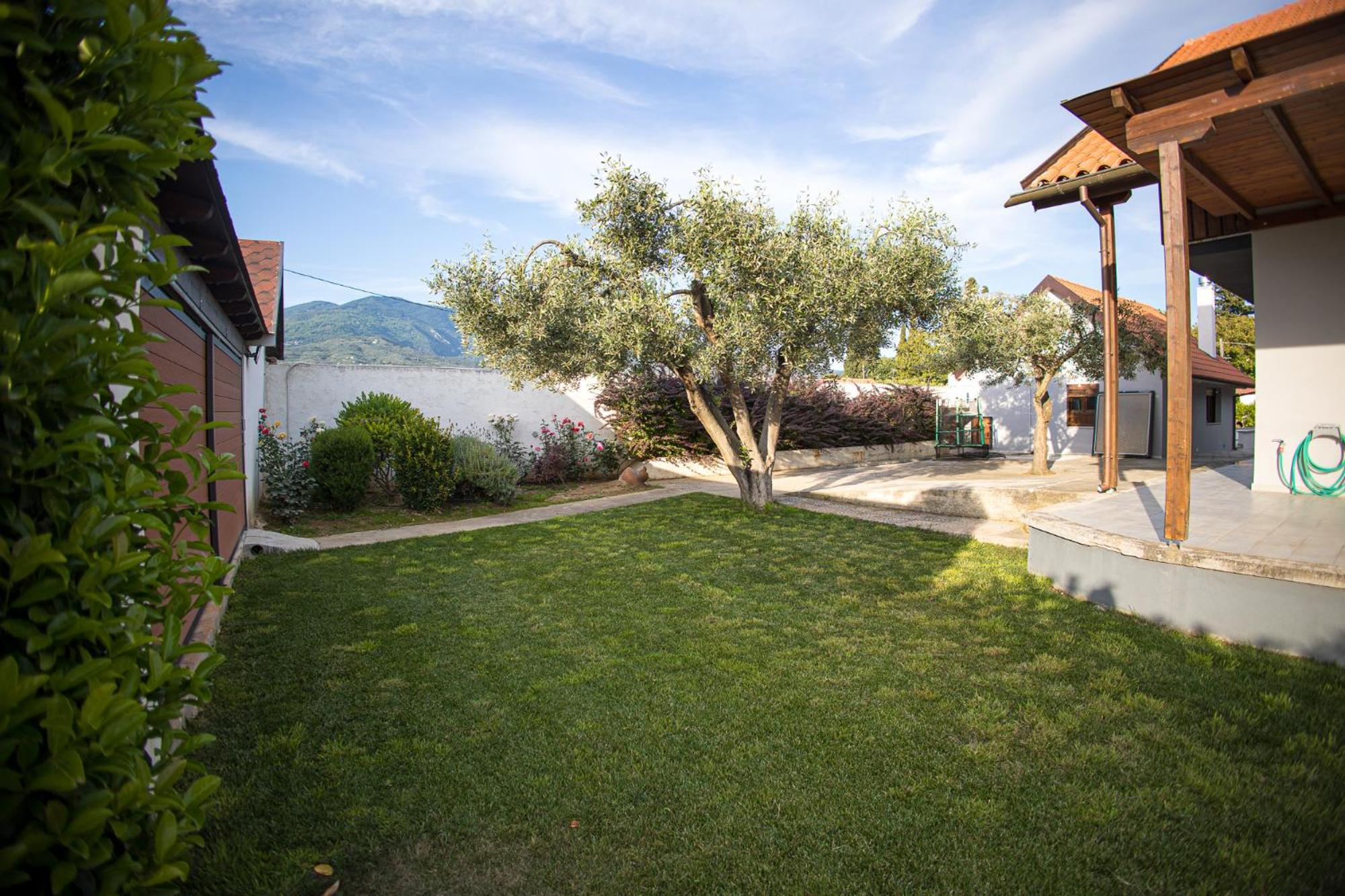 Countryside Luxury Studios Káto Lekhónia Dış mekan fotoğraf